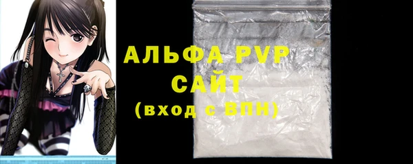 индика Ижевск