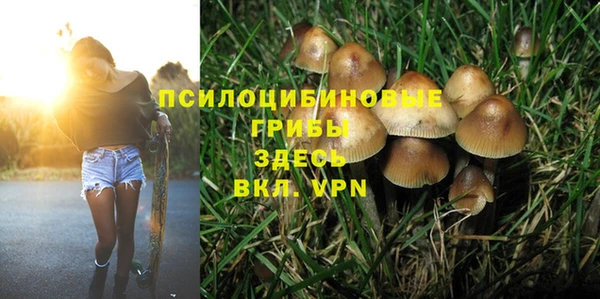 дурь Козельск