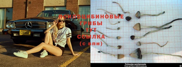 стафф Козловка