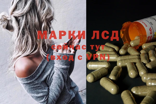 стафф Козловка